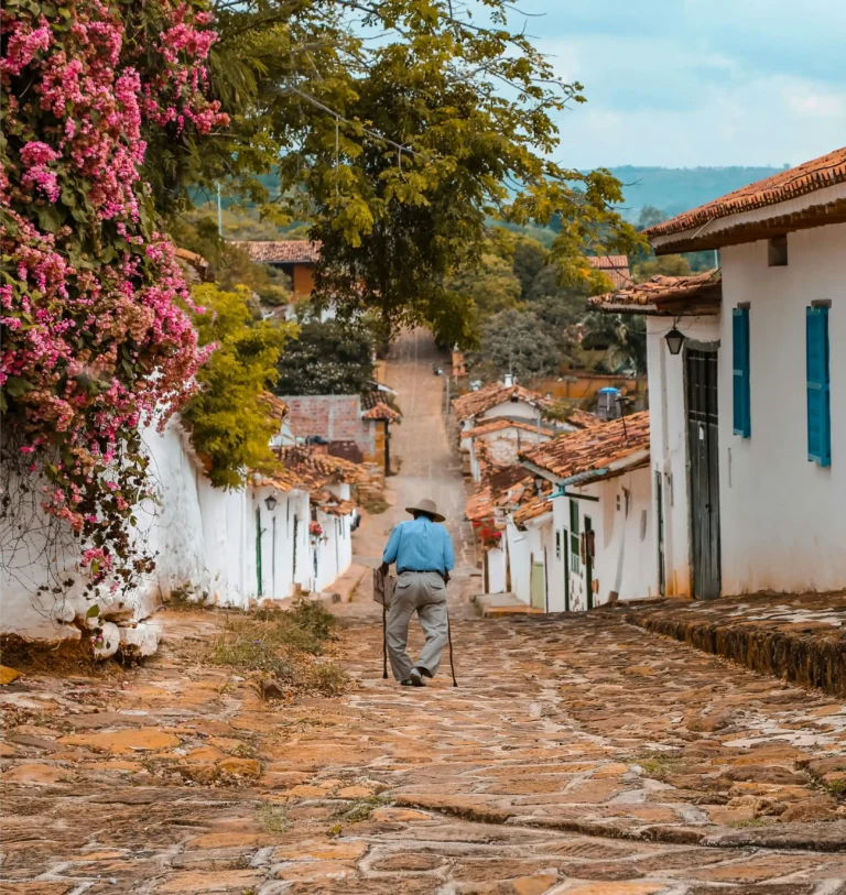pexels-diegonzalez-13540350